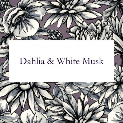 Далія та Білий Мускус (Dahlia White Musk)